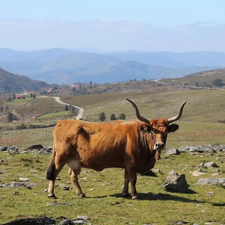 Casa Do Azevim Gavieira