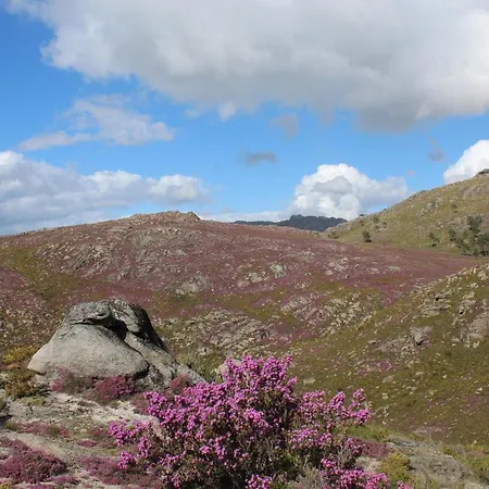 Dom wakacyjny Casa Do Azevim *