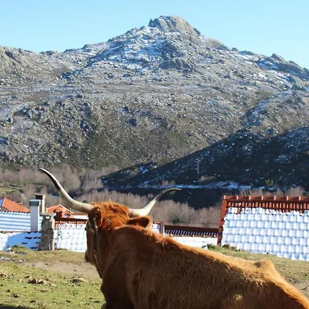 Casa Do Azevim Gavieira