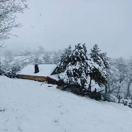 Casa Do Azevim Holiday home *