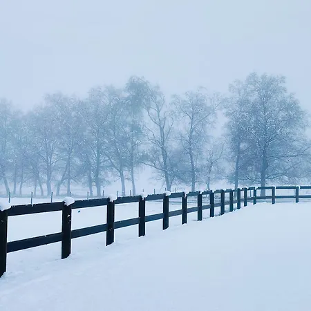Casa Do Azevim Σπίτι διακοπών Gavieira
