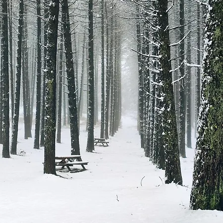 Σπίτι διακοπών Casa Do Azevim