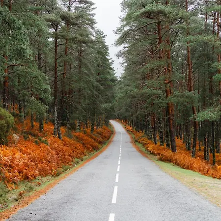 Casa Do Azevim Gavieira