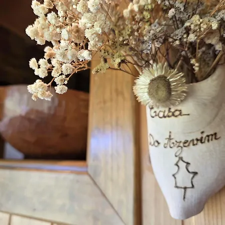 Σπίτι διακοπών Casa Do Azevim Gavieira