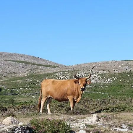 Nyaraló Casa Do Azevim