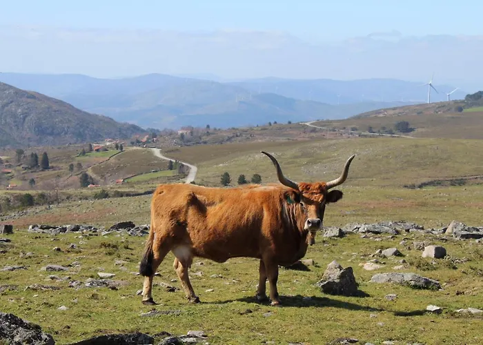 Casa Do Azevim Gavieira