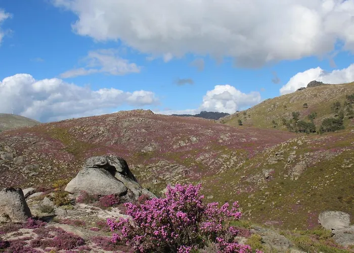 Tatil Evi Casa Do Azevim *
