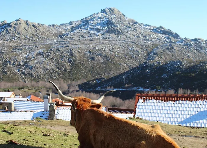 Casa Do Azevim Gavieira