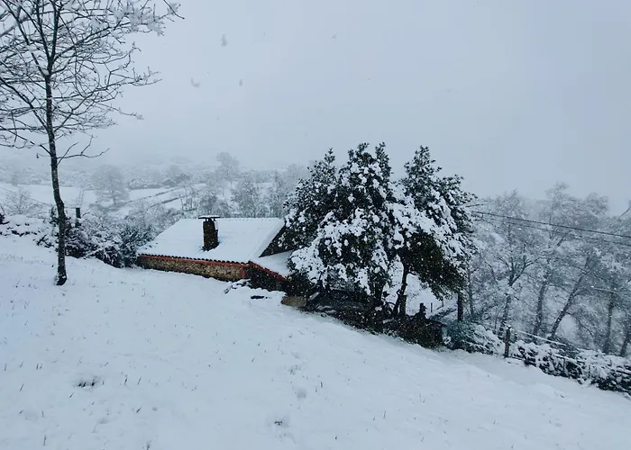 Casa Do Azevim Holiday home *