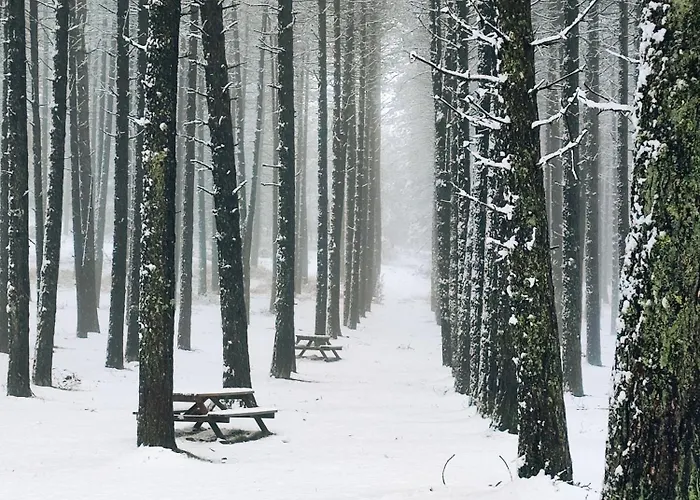 Holiday home Casa Do Azevim