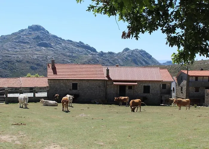 Holiday home Casa Do Azevim