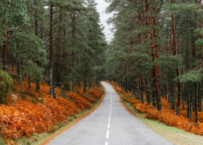 Casa Do Azevim Gavieira