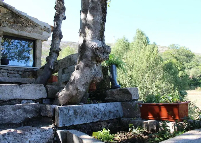 Casa Do Azevim Holiday home