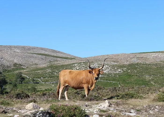 Tatil Evi Casa Do Azevim